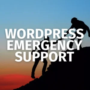 WordPress Emergency Support